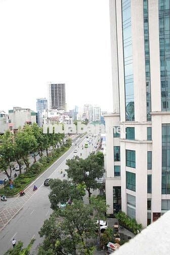 cho thuê sàn vp cao cấp nhà D2 Giảng Võ sử dụng 24/7