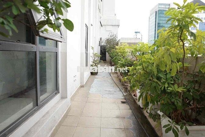 cho thuê sàn vp cao cấp nhà D2 Giảng Võ sử dụng 24/7