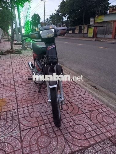 Honda Dream Lùn Nho Xăng