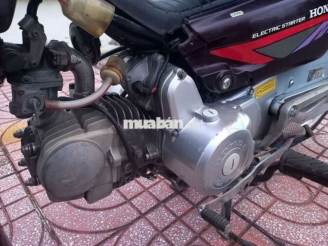 Honda Dream Lùn Nho Xăng