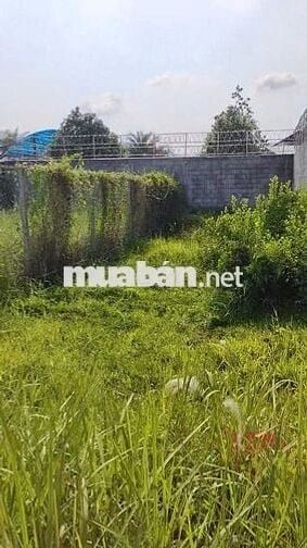 Đất nền thổ cư gần cầu Tân Quý Tây. Giá 1 tỷ 100 triệu/ 130m2 thổ cư