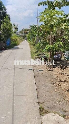 Đất nền thổ cư gần cầu Tân Quý Tây. Giá 1 tỷ 100 triệu/ 130m2 thổ cư
