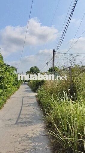 Đất nền thổ cư gần cầu Tân Quý Tây. Giá 1 tỷ 100 triệu/ 130m2 thổ cư