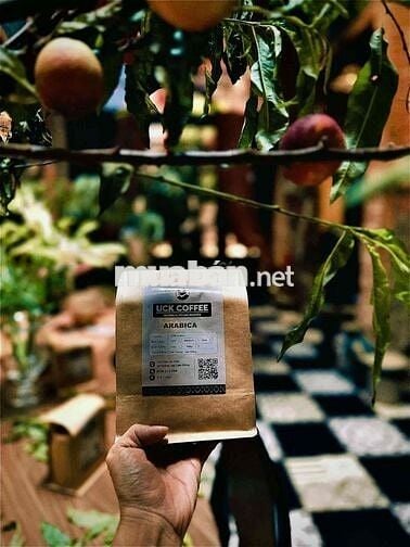Bếp chính và phụ bếp cho cafe có ăn sáng