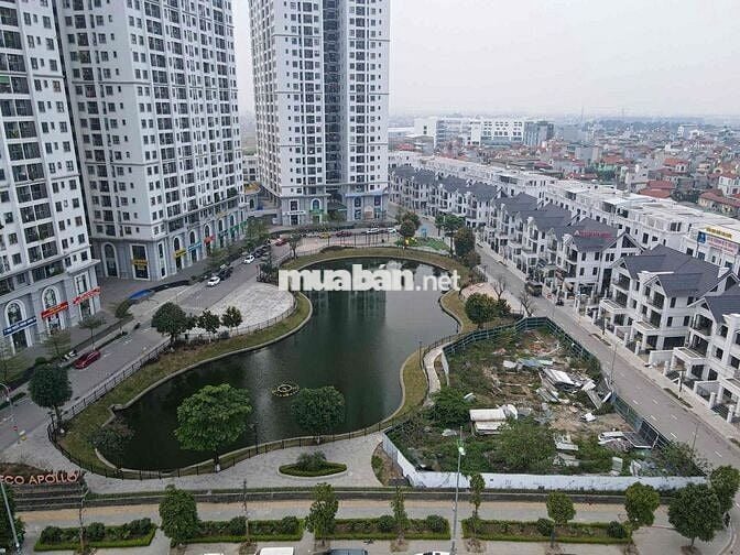 Một lời khuyên thật lòng cho các cặp đôi đang tìm nhà Hà Nội