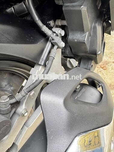 Honda SH Trắng