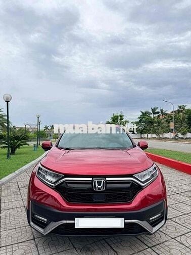 Honda CR-V 1.5 Turbo L 2021 7 chỗ