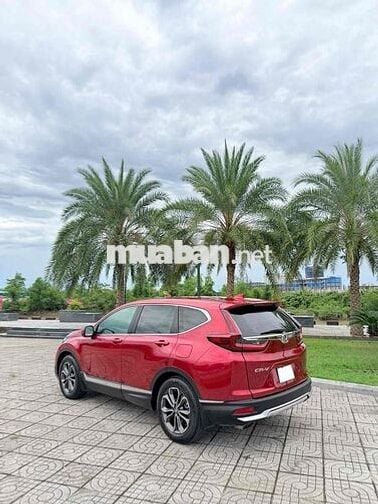 Honda CR-V 1.5 Turbo L 2021 7 chỗ