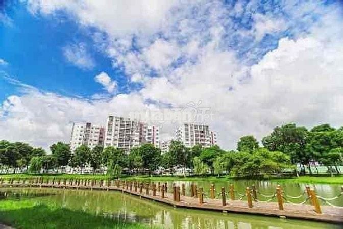 cho thuê căn 2pn 2wc DT 63m2 khu Ruby Celadon city Tân Phú