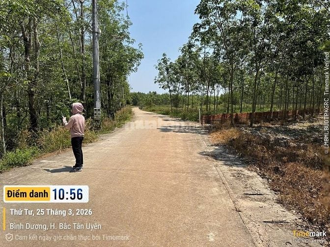 CÔNG TY ĐẤU GIÁ HỢP DANH MINH PHÁP THÔNG BÁO ĐẤU GIÁ TÀI SẢN