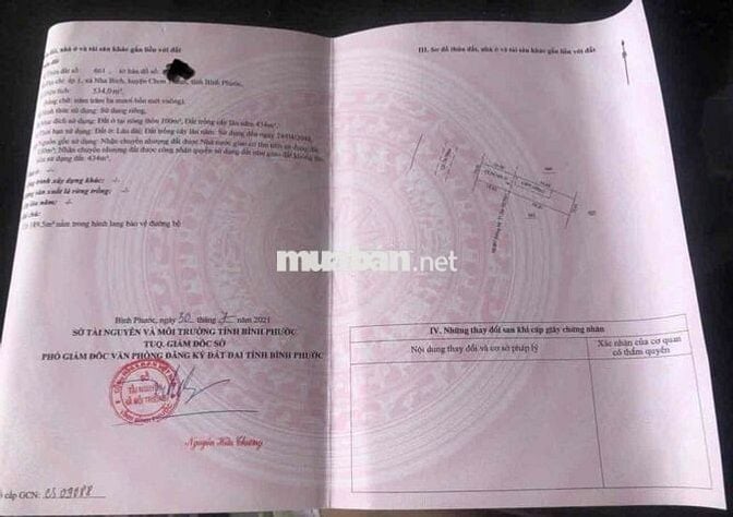 Bán Gấp 10m mặt tiền kinh doanh