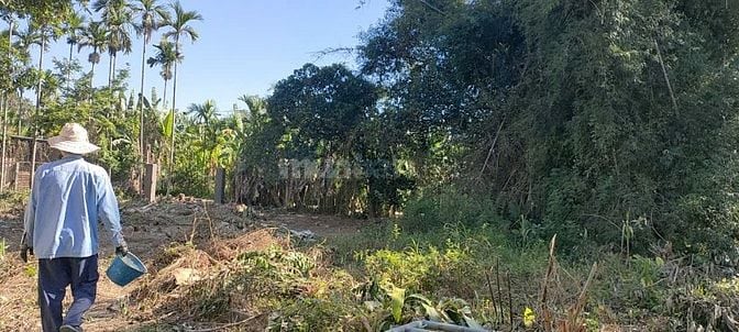 Cần tiền bán nhà vườn nghỉ dưỡng 