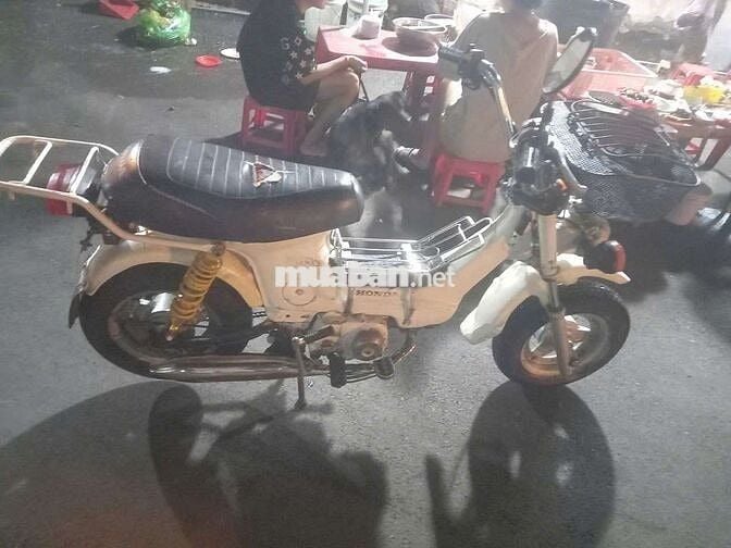 Honda Chaly 81 50cc Trắng