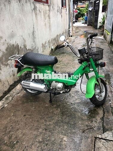 Honda Chaly81 có đề