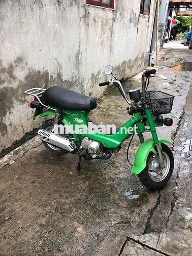Honda Chaly81 có đề