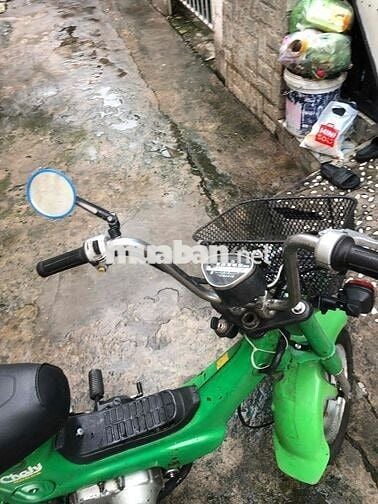 Honda Chaly81 có đề