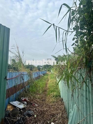 900m2 thổ cư, ngang 12m, thông Đào Trí, sát SG Riverside, 61 tỷ nhíc