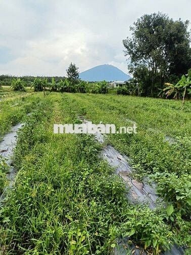bán đất mặt tiền đường nhựa Xã Dương Minh châu Tây Ninh, view núi Bà