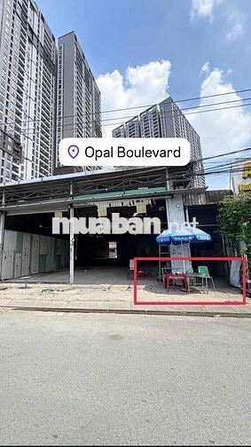 📍 Cho thuê vị trí: Ngay sát vách chung cư Opal Boulevard