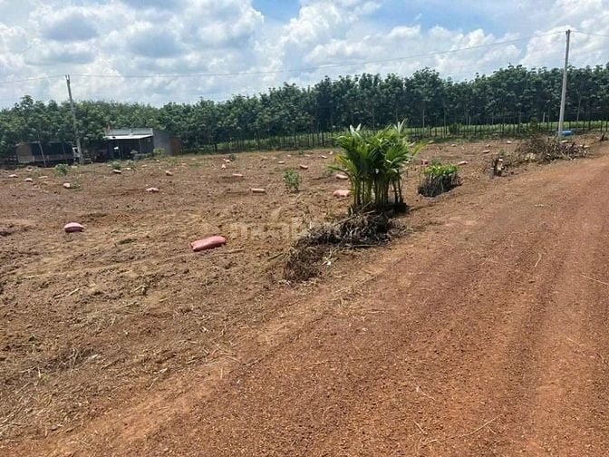 CHỦ GỬI 4 SÀO ĐẤT VƯỜN CÓ SẴN ĐƯỜNG ĐIỆN NƯỚC GẦN TRƯỜNG HỌC VÀ CHỢ