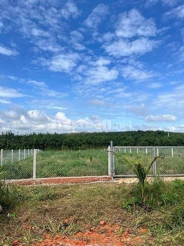CHỦ GỬI 4 SÀO ĐẤT VƯỜN CÓ SẴN ĐƯỜNG ĐIỆN NƯỚC GẦN TRƯỜNG HỌC VÀ CHỢ