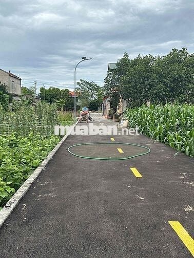 chính chủ cần bán gấp lô đất xóm 6 tự nhiên Thường tín thành phố Hà Nộ