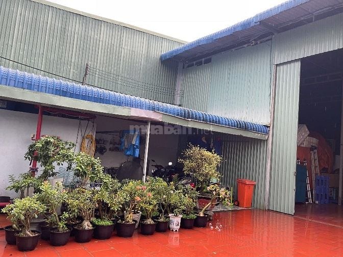Chính chủ Bán kho xưởng mặt tiền đường nhựa gần Trần văn Giàu.