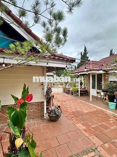Nhà sân vườn trung tâm Đà Lạt, yên tĩnh sạch sẽ có chổ đậu xe ô tô