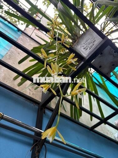 BÁN NHÀ QUẬN 7- PHƯỜNG PHÚ THUẬN- SÁT PMH