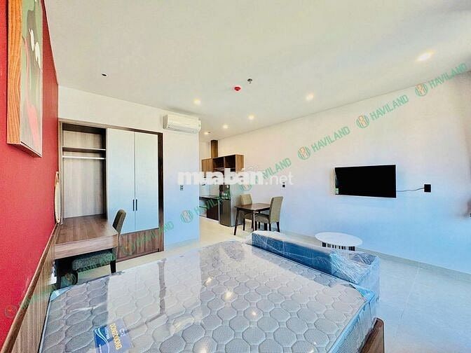 Studio ven biển, mới 100%, hồ bơi, gym, sauna, dọn phòng hàng tuần