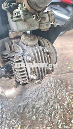 Honda Wave ZX TQ Trắng, đen, tím Nguyên bản