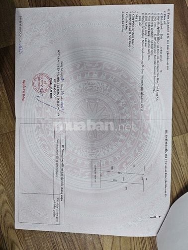 Bán hai lô đất liền kề, đường T15 An Phú Đông, cách quốc lộ 1A ~ 400m