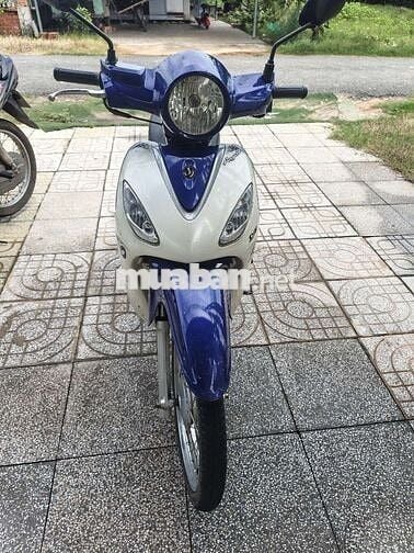 SYM Angela Trắng Xanh Zin