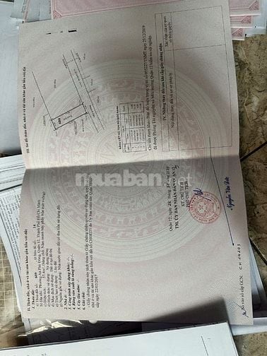 Bán hai lô đất liền kề, đường T15 An Phú Đông, cách quốc lộ 1A ~ 400m