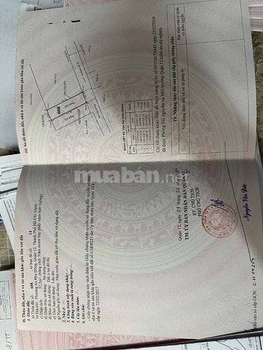 Bán hai lô đất liền kề, đường T15 An Phú Đông, cách quốc lộ 1A ~ 400m