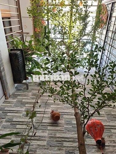 ❌ CHO THUÊ NHÀ 2 TẦNG MT TRẦN KHÁT CHÂN - SƠN TRÀ