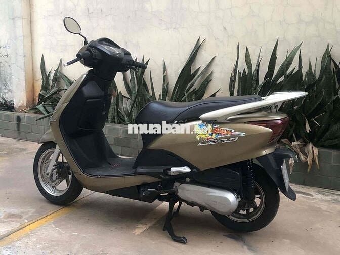 Lead Fi màu vàng đồng bstp