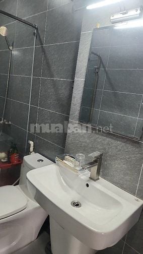 cho thue căn hộ dich vu tai xa Binh Hung tphcm