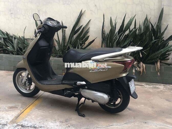 Lead Fi màu vàng đồng bstp