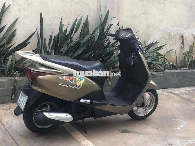 Lead Fi màu vàng đồng bstp
