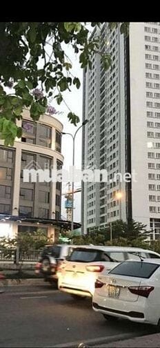 Cho Thuê Căn Hộ trung tâm tp HCM