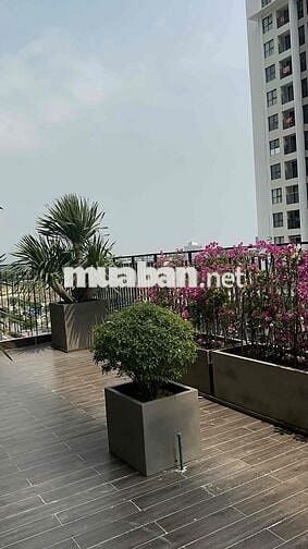 Cho thuê căn hộ 2 phòng ngủ đầy đủ nội thất tại toà FPT Plaza3