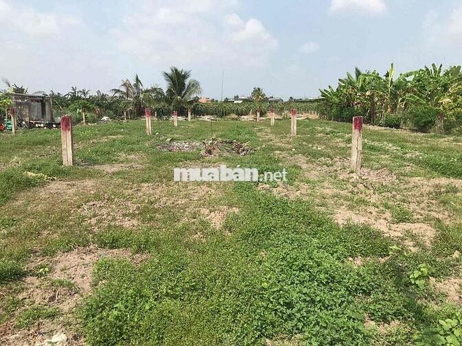 cần bán gấp 331.2 m vuông có 100 thổ cư