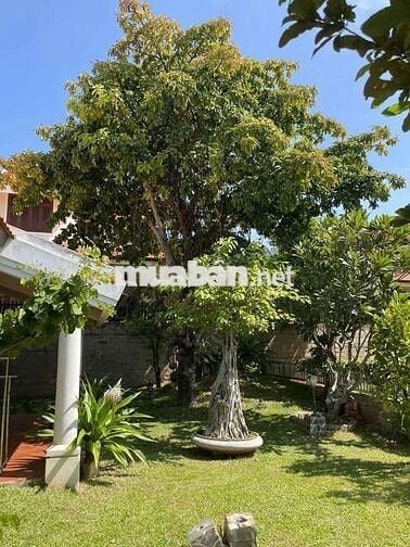 CHÍNH CHỦ BÁN BIỆT THỰ 500M² MŨI NÉ DOMAINE – SỔ HỒNG LÂU DÀI