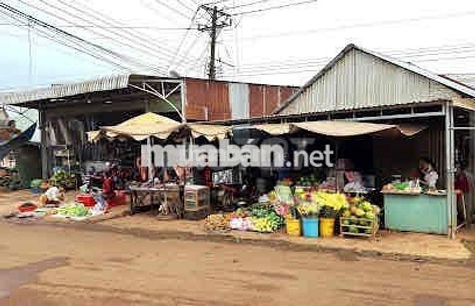 Chính chủ cần bán gấp lô đất trong tuần này