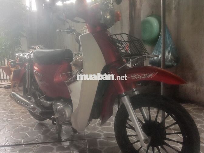 Dalim Cub 50cc Đỏ Trắng Hàn Quốc