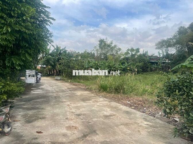 💥 GIẢM 100TR – LÔ ĐẤT FULL THỔ CƯ 150m² – HÒA PHONG, HÒA VANG, ĐN