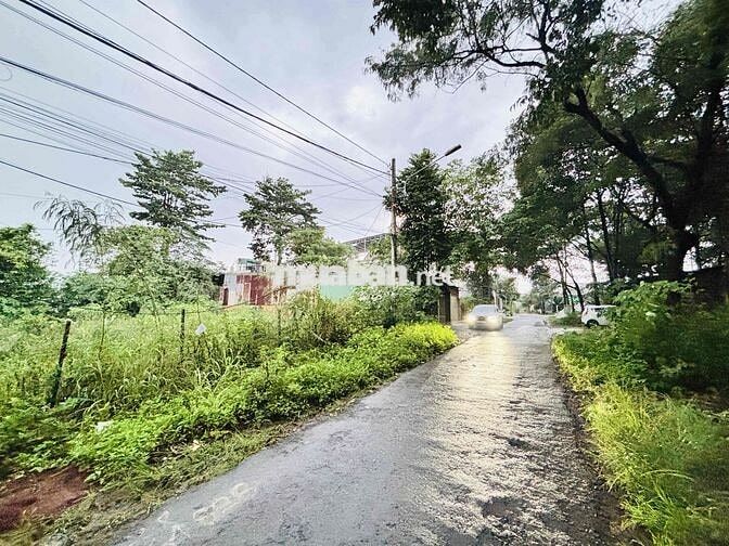 CHO THUÊ NHÀ - MẶT TIỀN ĐƯỜNG SĂM BRĂM - SAU LƯNG TRƯỜNG CAO ĐẲNG ĐẮK