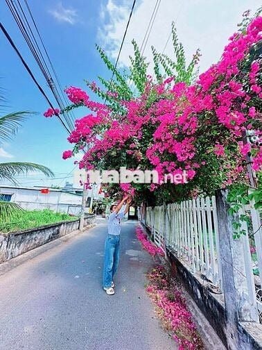 BÁN ĐẤT THỔ CƯ ĐƯỜNG HỒ TRUNG THÀNH  - BÌNH THỦY - CẦN THƠ