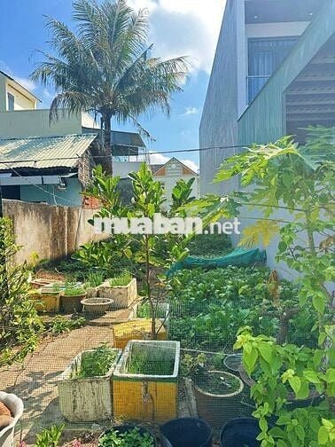 BÁN ĐẤT THỔ CƯ ĐƯỜNG HỒ TRUNG THÀNH  - BÌNH THỦY - CẦN THƠ